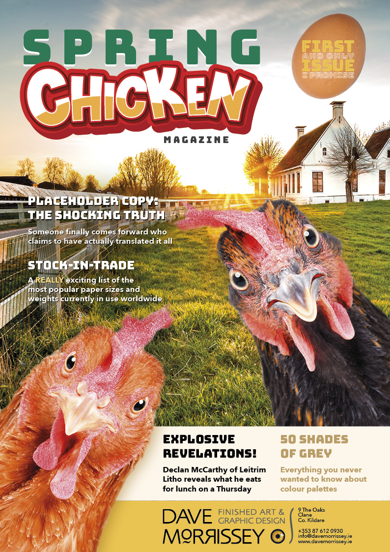 Spring Chicken Magazine